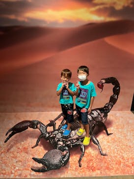 体感するファーブル昆虫展 NAGOYAに投稿された画像（2022/8/18）