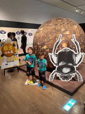 体感するファーブル昆虫展 NAGOYAに投稿された画像（2022/8/18）
