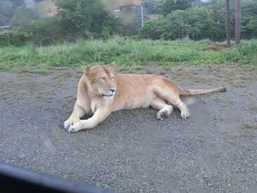 東北サファリパークに投稿された画像（2022/8/18）