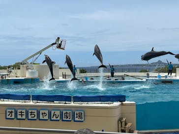 沖縄美ら海水族館に投稿された画像（2022/8/18）
