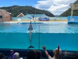 下田海中水族館に投稿された画像（2022/8/18）
