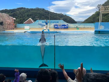 下田海中水族館に投稿された画像（2022/8/18）
