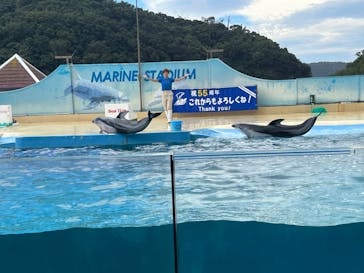下田海中水族館に投稿された画像（2022/8/18）