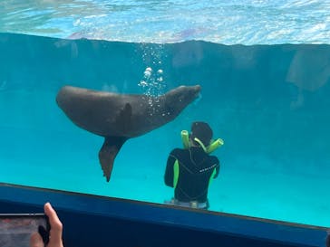 下田海中水族館に投稿された画像（2022/8/18）