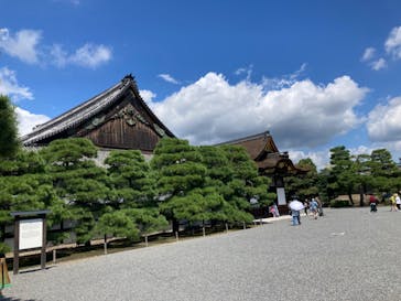 元離宮二条城に投稿された画像（2022/8/18）