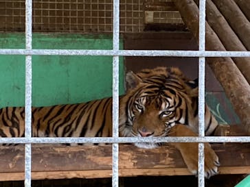 しろとり動物園に投稿された画像（2022/8/18）