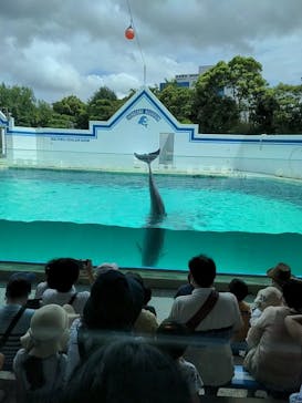 しながわ水族館に投稿された画像（2022/8/18）