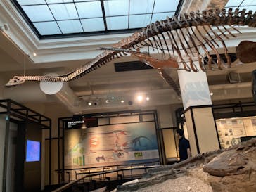 国立科学博物館に投稿された画像（2022/8/18）