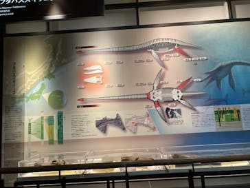 国立科学博物館に投稿された画像（2022/8/18）