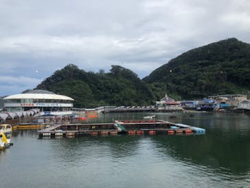 下田海中水族館に投稿された画像（2022/8/18）