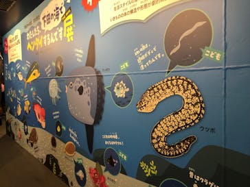 下田海中水族館に投稿された画像（2022/8/18）