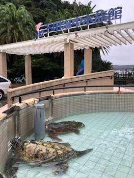 下田海中水族館に投稿された画像（2022/8/18）