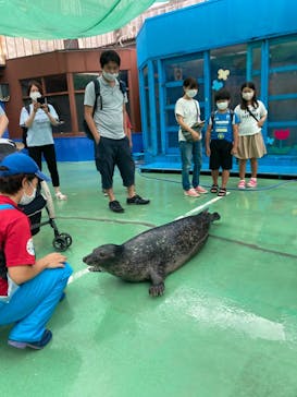 ゼロ距離水族館 伊勢シーパラダイスに投稿された画像（2022/8/18）
