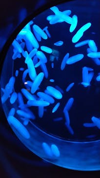 アクアワールド茨城県大洗水族館に投稿された画像（2022/8/18）