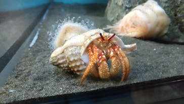 アクアワールド茨城県大洗水族館に投稿された画像（2022/8/18）