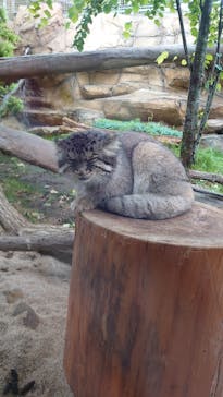 那須どうぶつ王国に投稿された画像（2022/8/18）