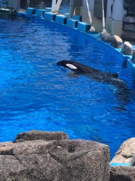 名古屋港水族館に投稿された画像（2022/8/18）