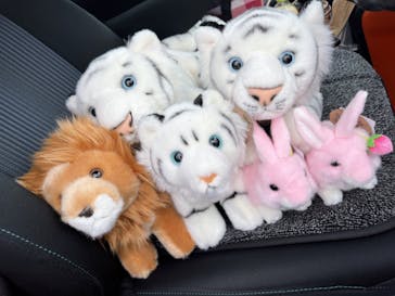 群馬サファリパークに投稿された画像（2022/8/18）