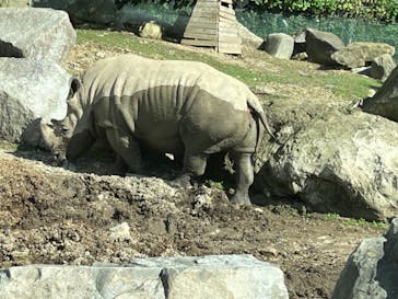 群馬サファリパークに投稿された画像（2022/8/18）