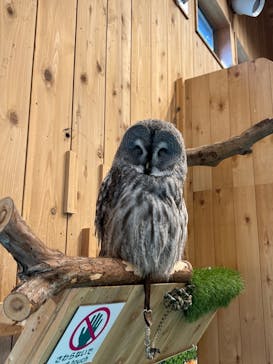 伊豆シャボテン動物公園に投稿された画像（2022/8/18）