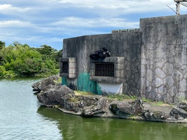 伊豆シャボテン動物公園に投稿された画像（2022/8/18）