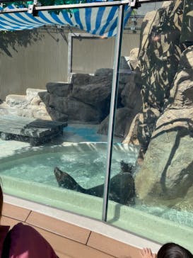サンシャイン水族館に投稿された画像（2022/8/18）