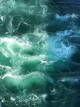 徳島県立 渦の道に投稿された画像（2022/8/18）