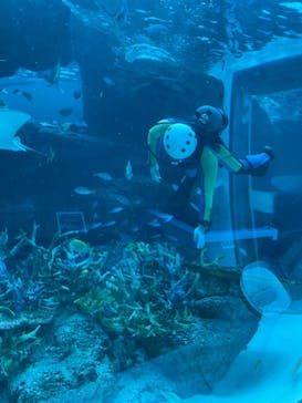 名古屋港水族館に投稿された画像（2022/8/18）