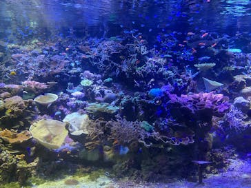 名古屋港水族館に投稿された画像（2022/8/18）