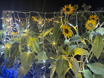 せんだい農業園芸センター　みどりの杜に投稿された画像（2022/8/18）