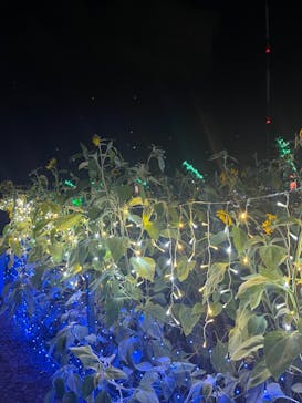 せんだい農業園芸センター　みどりの杜に投稿された画像（2022/8/18）