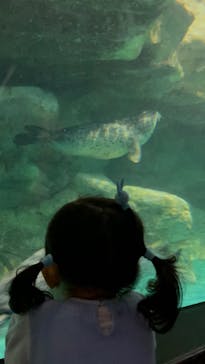 アクアワールド茨城県大洗水族館に投稿された画像（2022/8/18）