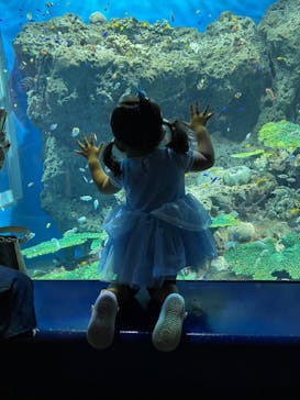 アクアワールド茨城県大洗水族館に投稿された画像（2022/8/18）