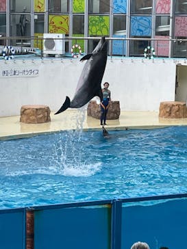 伊豆・三津シーパラダイスに投稿された画像（2022/8/18）