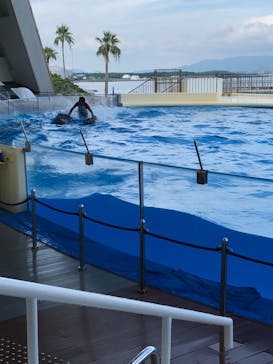 マリンワールド海の中道に投稿された画像（2022/8/18）