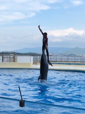 マリンワールド海の中道に投稿された画像（2022/8/18）