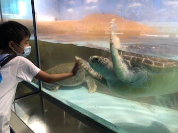 マリンワールド海の中道に投稿された画像（2022/8/18）