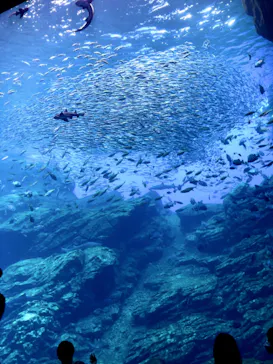 仙台うみの杜水族館に投稿された画像（2022/8/18）