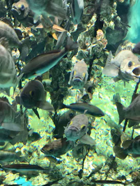 仙台うみの杜水族館に投稿された画像（2022/8/18）