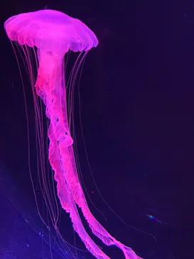 仙台うみの杜水族館に投稿された画像（2022/8/18）