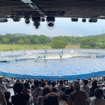 京都水族館に投稿された画像（2022/8/18）