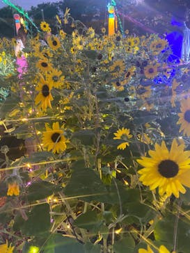 せんだい農業園芸センター　みどりの杜に投稿された画像（2022/8/18）