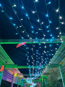 せんだい農業園芸センター　みどりの杜に投稿された画像（2022/8/18）