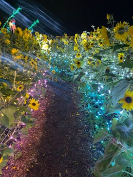 せんだい農業園芸センター　みどりの杜に投稿された画像（2022/8/18）