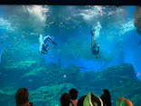 仙台うみの杜水族館に投稿された画像（2022/8/18）