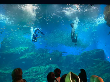 仙台うみの杜水族館に投稿された画像（2022/8/18）
