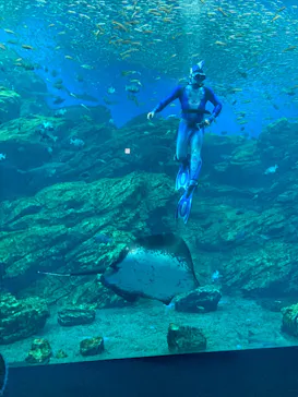 仙台うみの杜水族館に投稿された画像（2022/8/18）