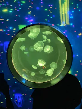 仙台うみの杜水族館に投稿された画像（2022/8/18）