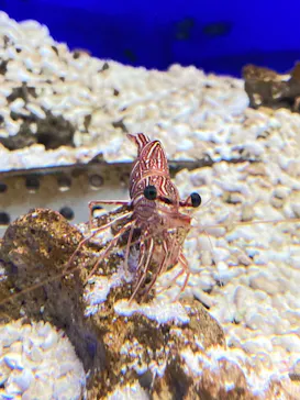 仙台うみの杜水族館に投稿された画像（2022/8/18）