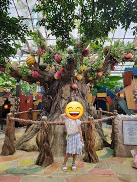 OKINAWAフルーツらんどに投稿された画像（2022/8/18）